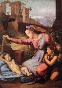 RAFFAELLO Sanzio Madonna with the Blue Diadem oil painting artist